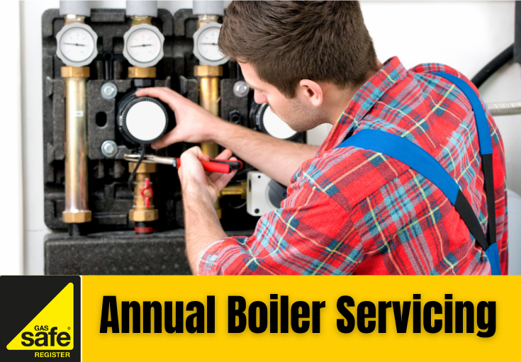 annual boiler servicing West Kingsdown